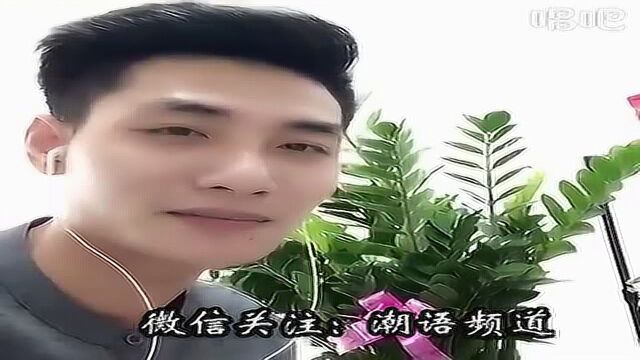 潮剧李子光简介图片