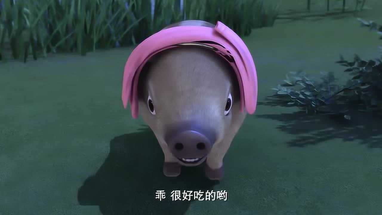 熊出没之探险日记 小野猪又来抢吃赵琳的食物
