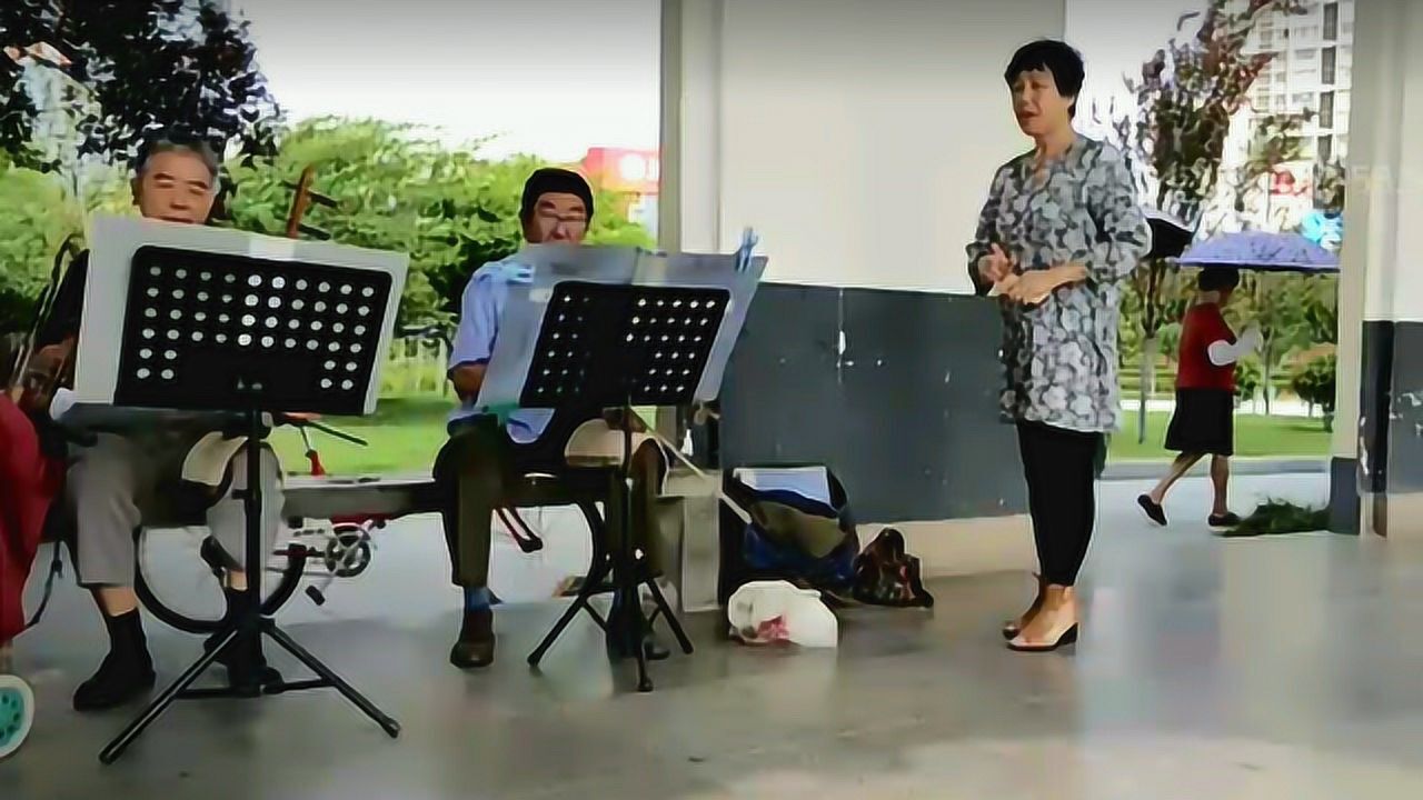 老艺人二胡合奏赛马超高难度拍案称奇