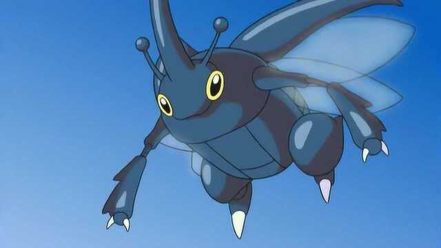 神奇宝贝小智最强的虫系精灵这技能会的可真多