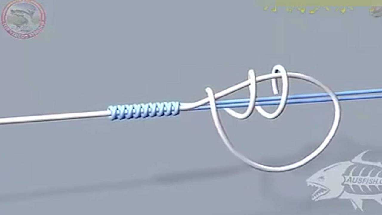 鱼钩gt结钓组绑法一个视频保你学会