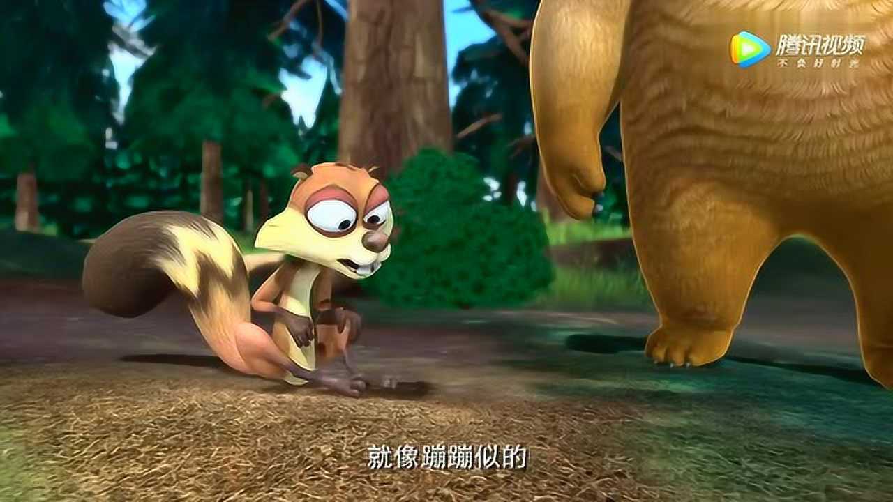 熊老师开课啦小动物都赶来真是一节生动形象有有趣的生物课