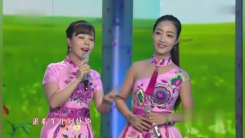 王二妮、王小妮合唱歌曲《姐妹花》《三妮的笑》合辑