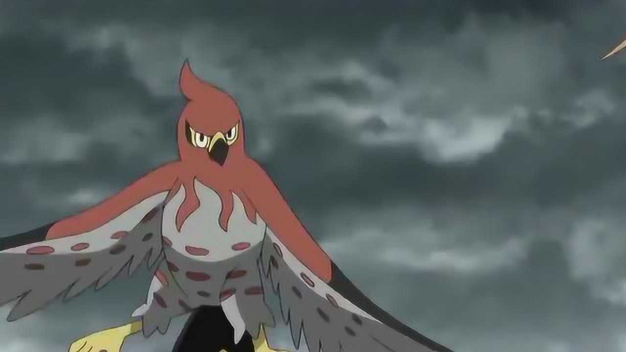 神奇宝贝小智派出烈箭鹟单挑闪电鸟结果一分钟就被干掉了