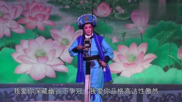 漯河市豫剧团女小生郭婷婷《白莲花》,美女这唱腔老美,真耐听!