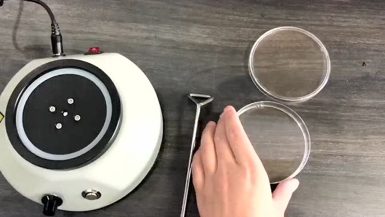 dw-16自动细菌涂布接种仪操作视频