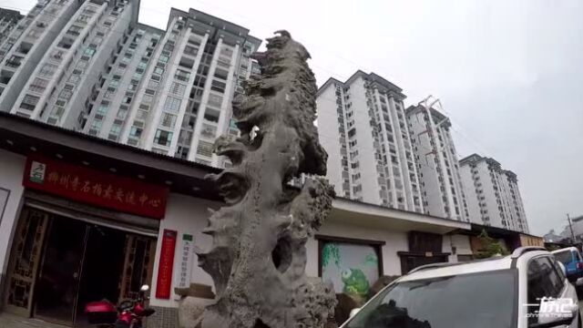 小哥环游中国,柳州奇石城,天空海阔山无欲,地利人和石有灵