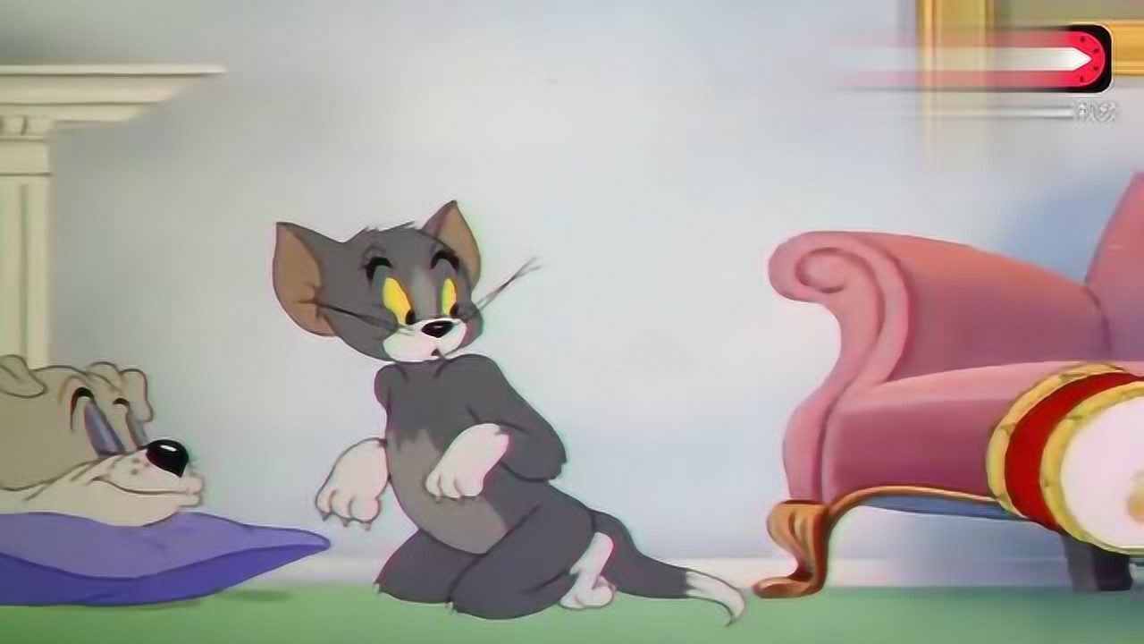 猫和老鼠,请保持安静,太搞笑了!