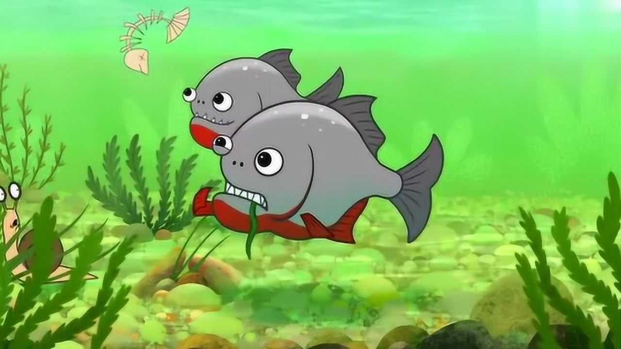 我是一只鱼 第11集精彩片段 食人鱼