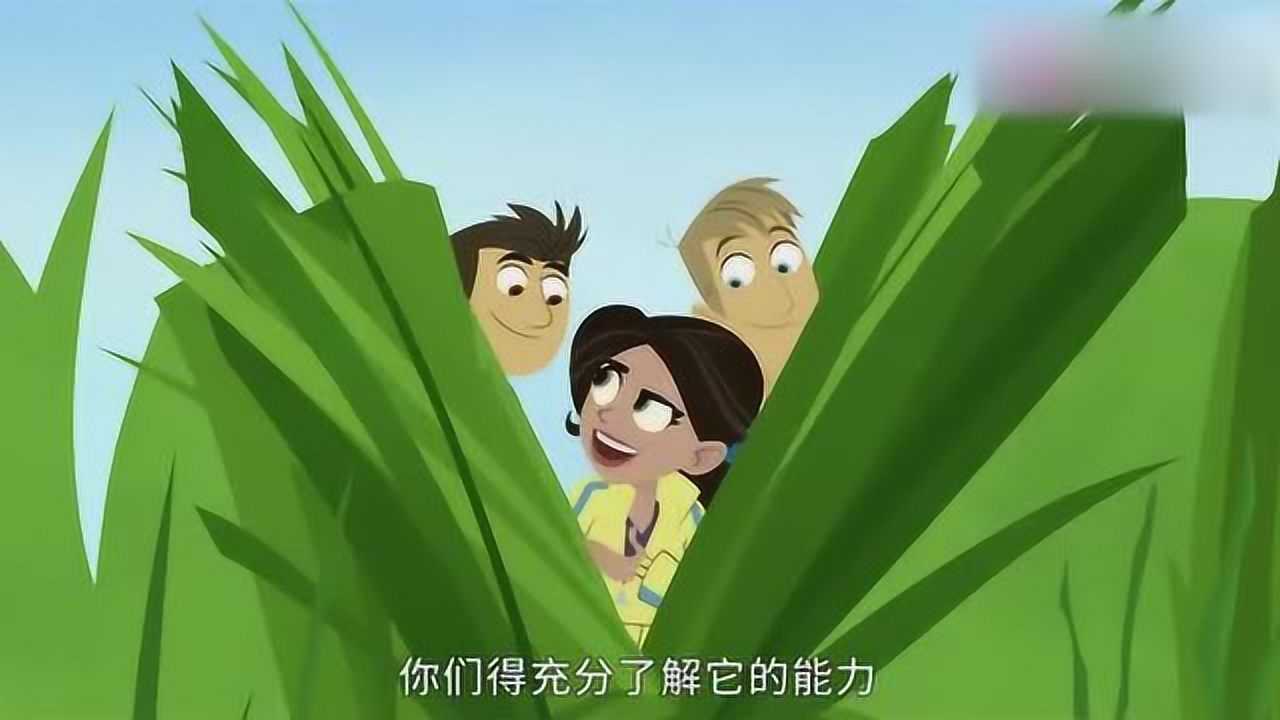 美女这么说为你推荐自动连播00:10该红的不红,该绿的不绿汤圆酱家族00