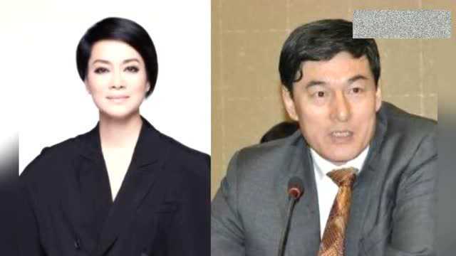 整整瞒了15年,毛阿敏老公曝光,身家过百亿