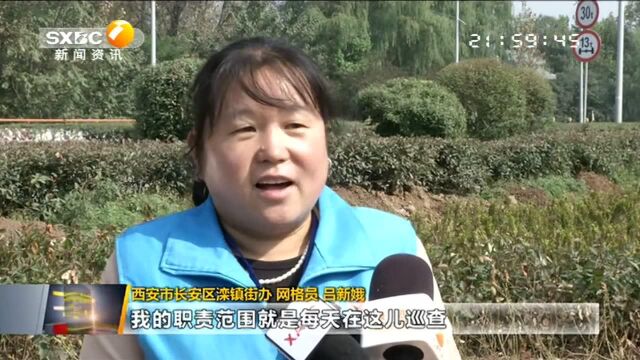 西安长安区:违建变绿地别墅变绿树