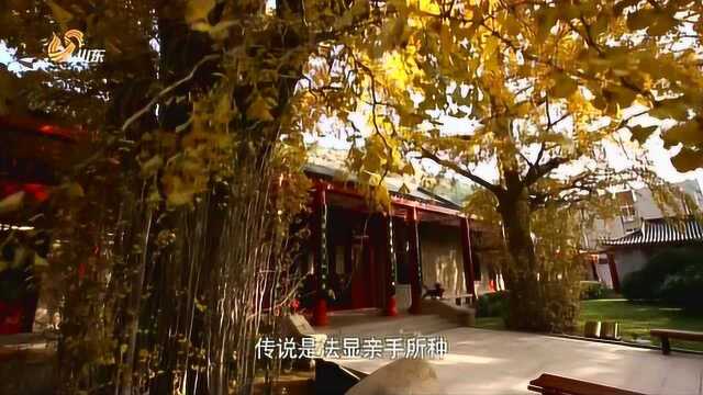 纪录片《崂山》第四集 天地造化