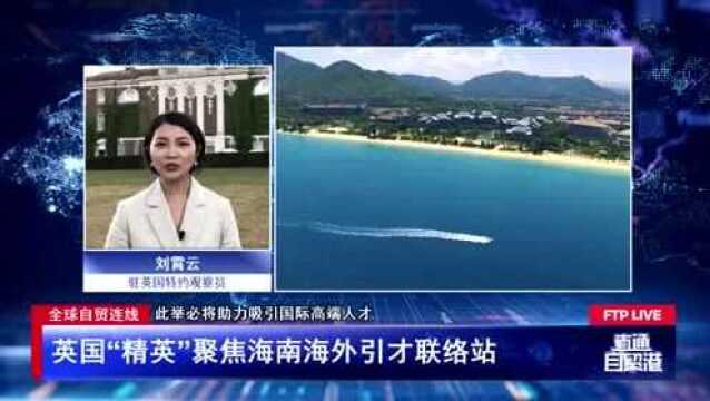 英国“精英”聚焦海南海外引才联络站