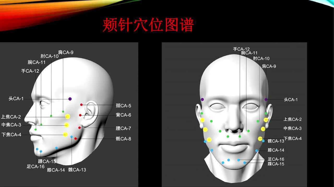颊针疗法与全息思维
