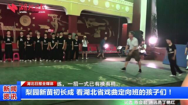 梨园新苗初长成 看湖北省戏曲定向班的孩子们!