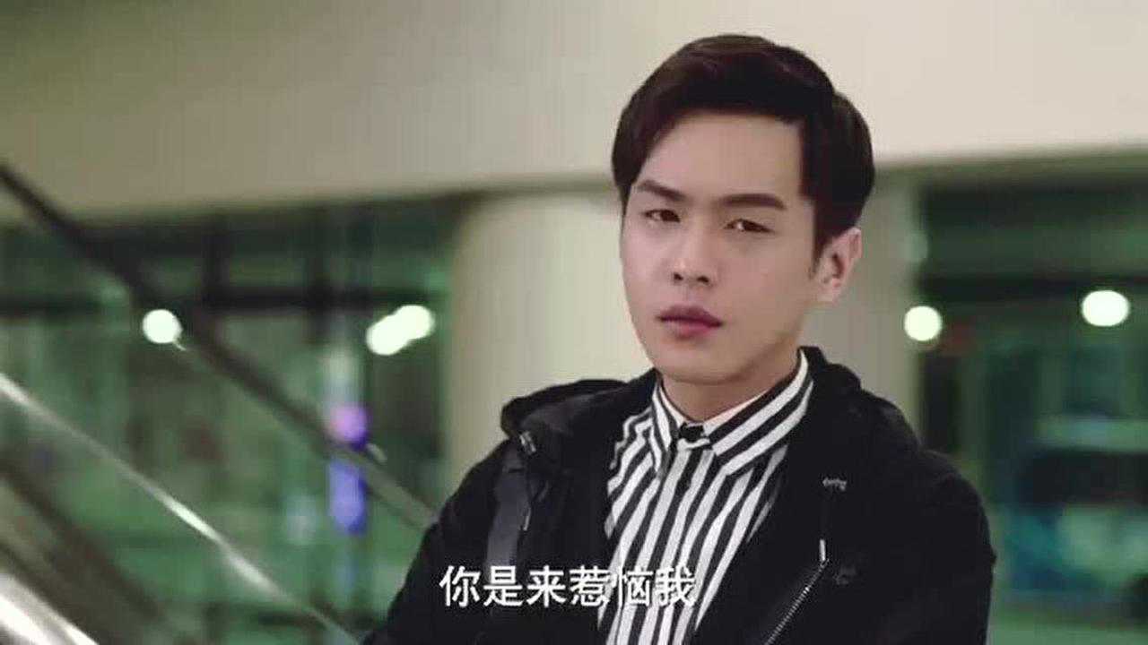 爱情进化论鹿飞摊牌丁宇扬说放得下才能做朋友