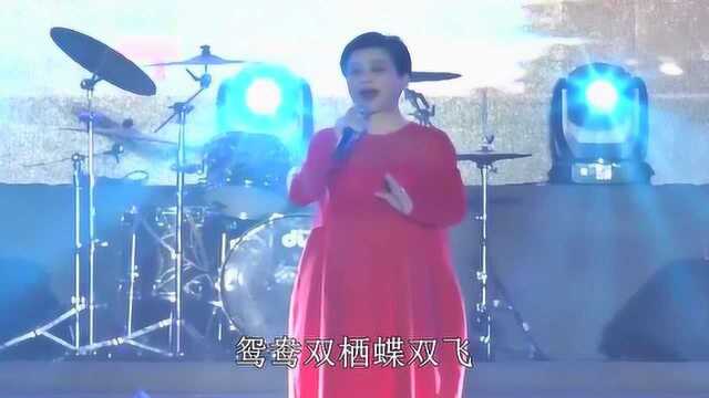 歌曲《女儿情》现场带字幕,演唱:李玲玉