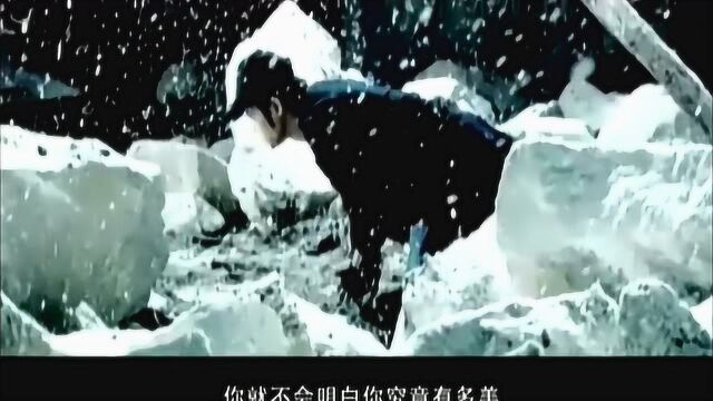 《冲动的惩罚》刀郎,高清mv