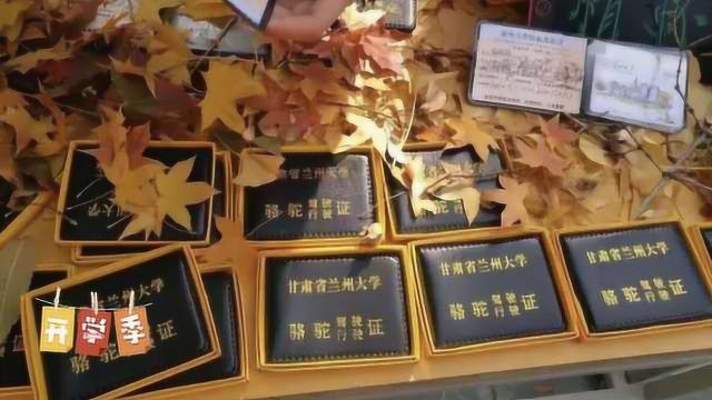 兰大学生骑骆驼上学?学长学姐讲述网红\