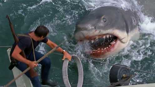 男子用渔枪抓捕大白鲨，招来大白鲨报复被反复撕咬，看的惊心动魄！