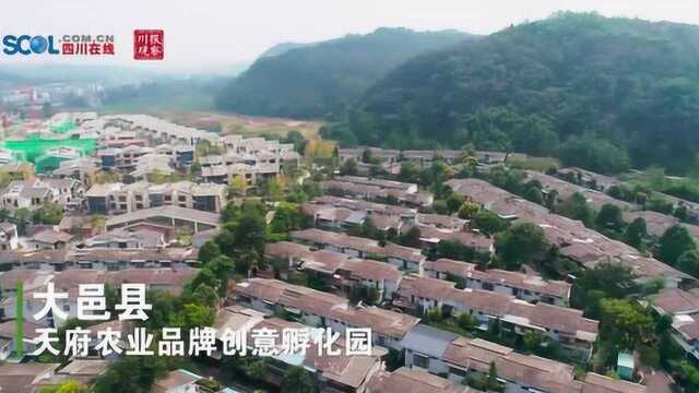 大邑县天府农业品牌创意孵化园