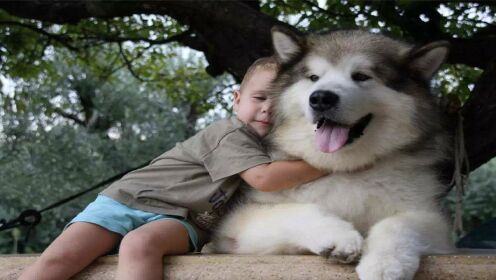 养大型犬和小型犬的区别是什么？说出来你别不信