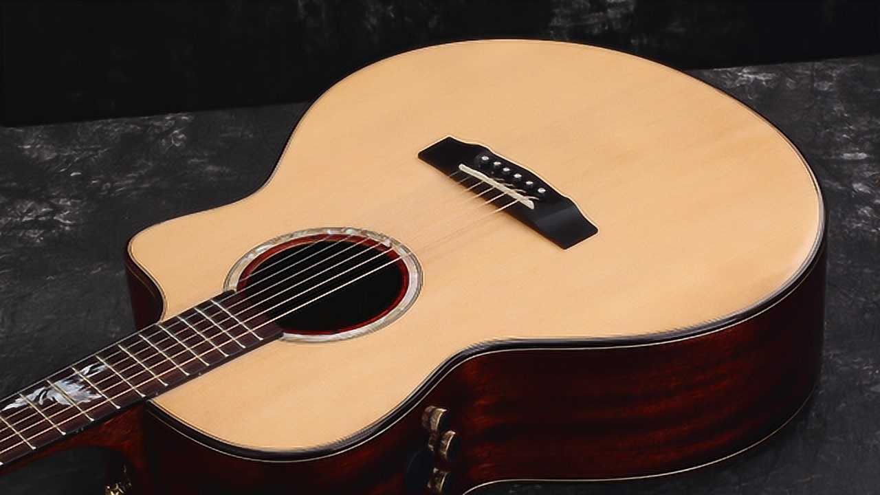 冯涛吉他测评 第17期  面背"双单" 楚门j-850f