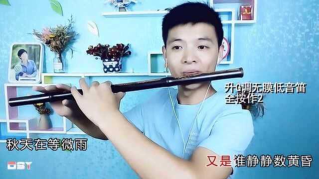 无膜低音笛演奏《风誓》空灵悠远,听得如醉如痴!