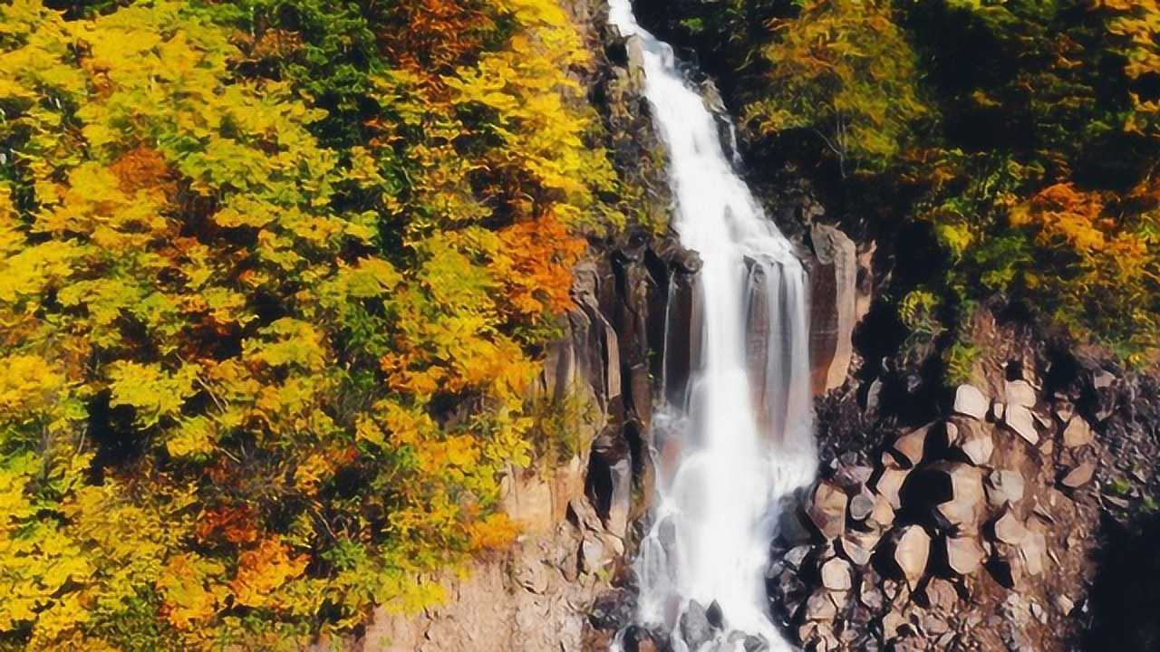 倾听大自然的声音长白山原始森林