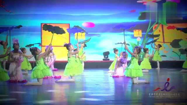 心中有一朵莲花绽放,美丽人间《莲韵》