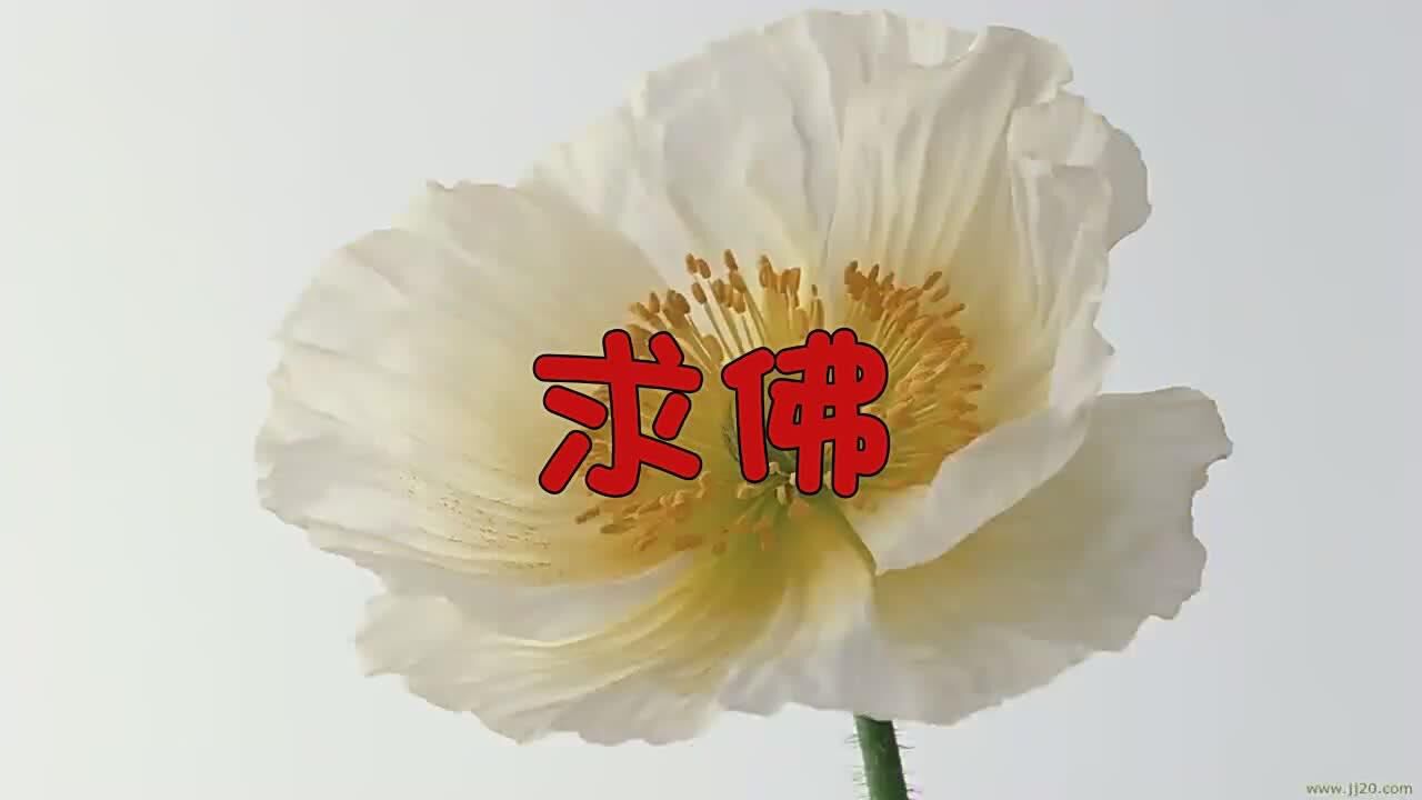 感觉特别舒服这首求佛适合放松自己