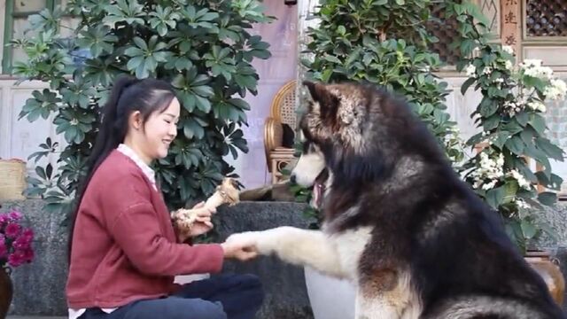 滇西小哥:牛扒呼——冬日里一道暖到心窝子的云南下饭菜!