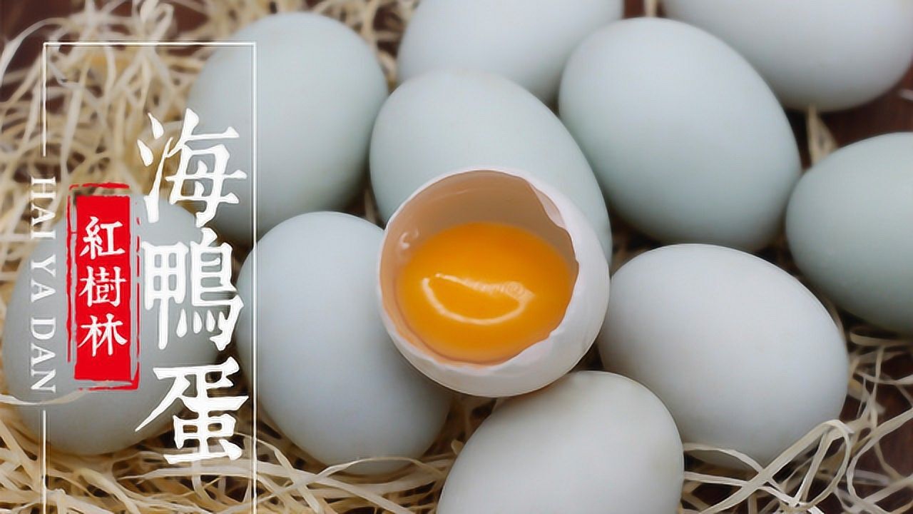 海鸭蛋和鸡蛋对比