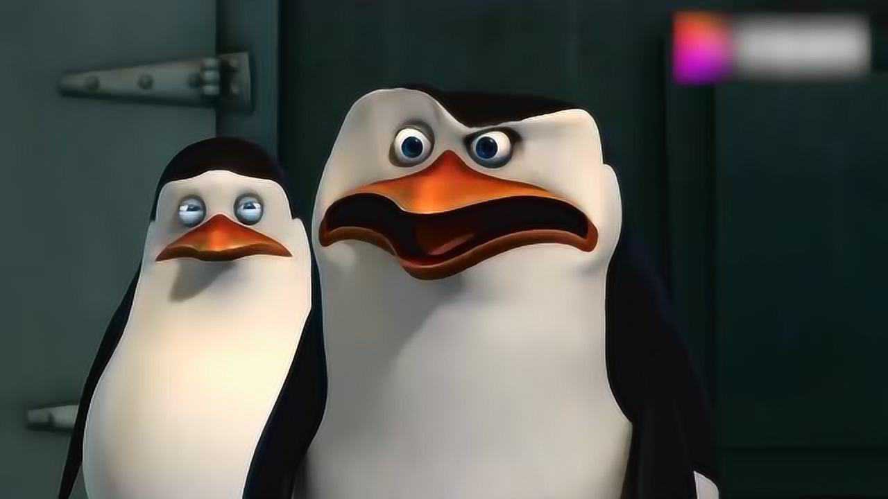马达加斯加的企鹅:疯狂企鹅科学换换脑袋机!转换心智!_腾讯视频