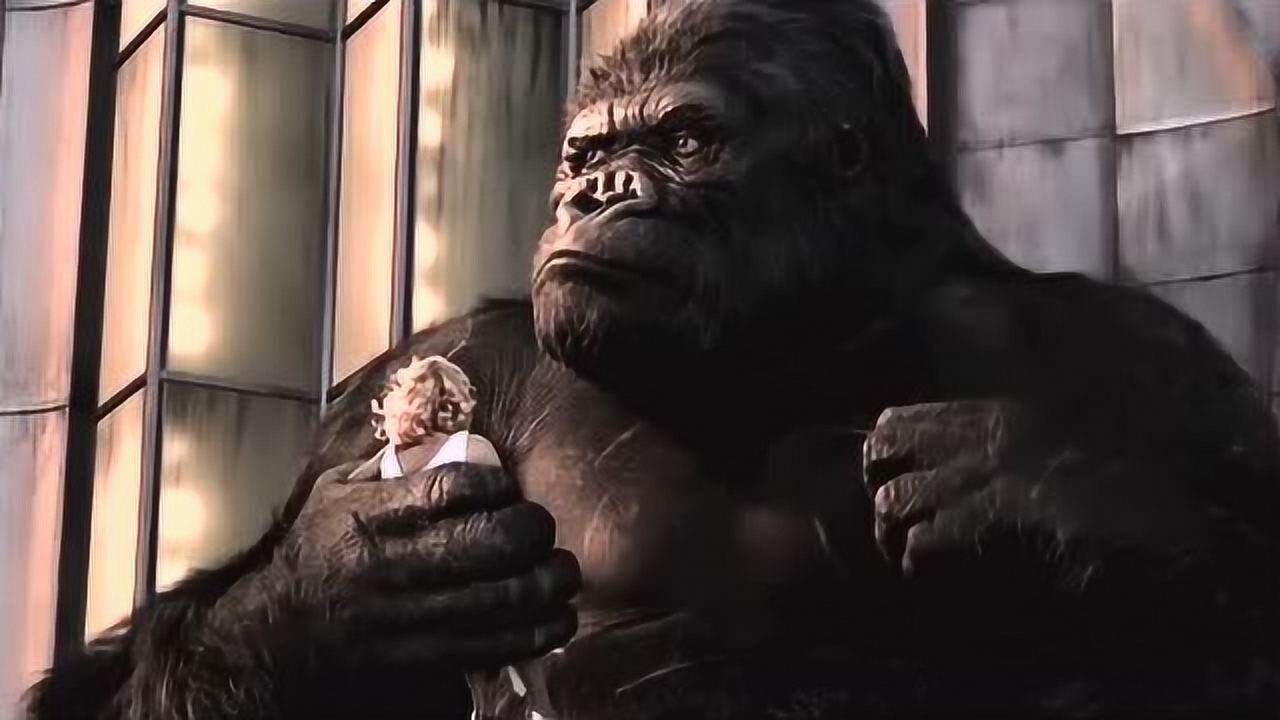 金刚爬上帝国大厦金刚2005电影剪辑