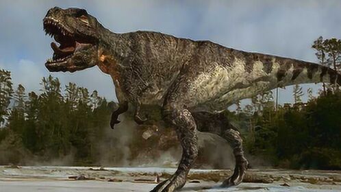 中国诸城暴龙对比美国霸王龙因为这一点让它略输一筹