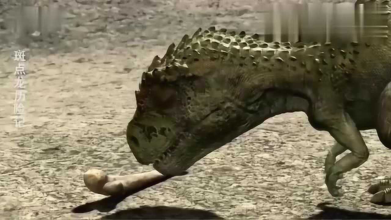 斑点龙历险记两只恐龙的对决打响