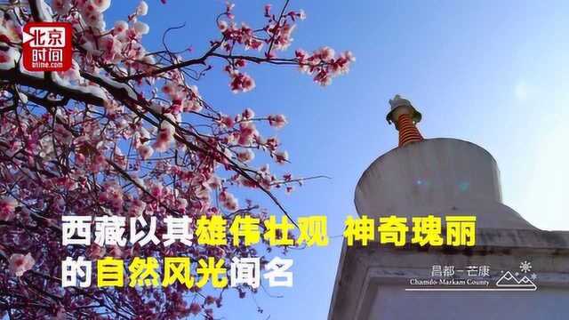 真划算!冬游西藏 费用打折或免费 美景好心情不打折