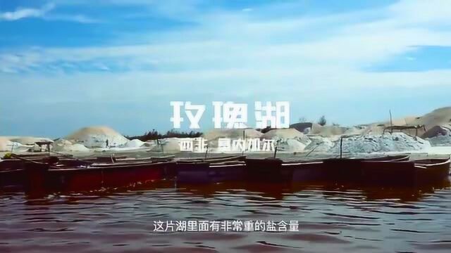 大自然神创浪漫塞内加尔玫瑰湖