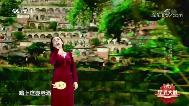 星光大道歌曲《一壶老酒》演唱:李海平