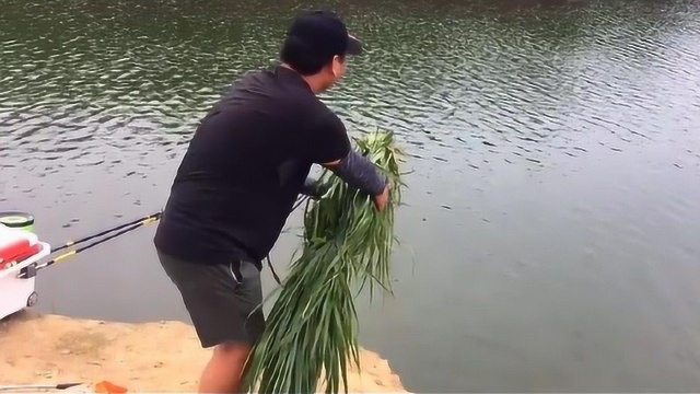 钓鱼:用草也能打窝?这钓友尝试多年前的草窝钓法,你有玩过吗?