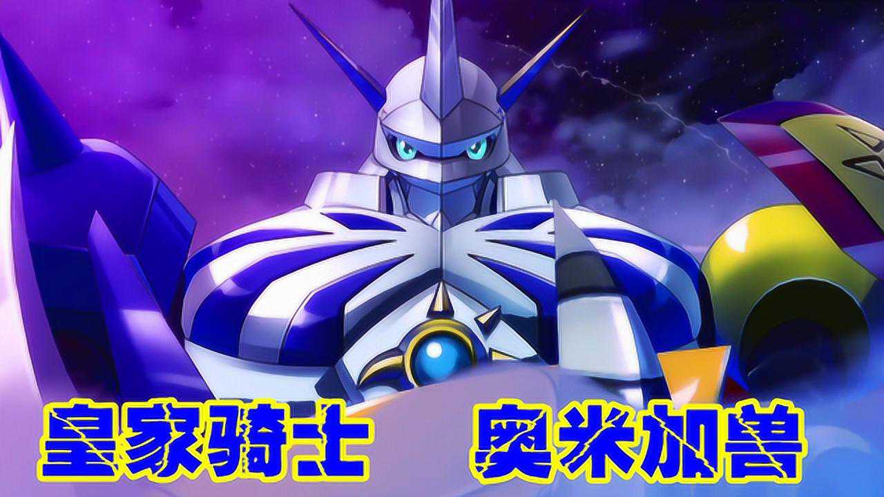 z小驴 数码宝贝 网络侦探 第23期皇家骑士!奥米加兽!