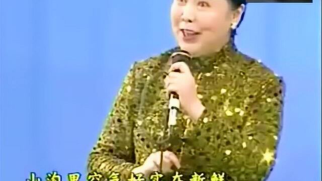 魏云老师素装演唱豫剧《朝阳沟》原汁原味