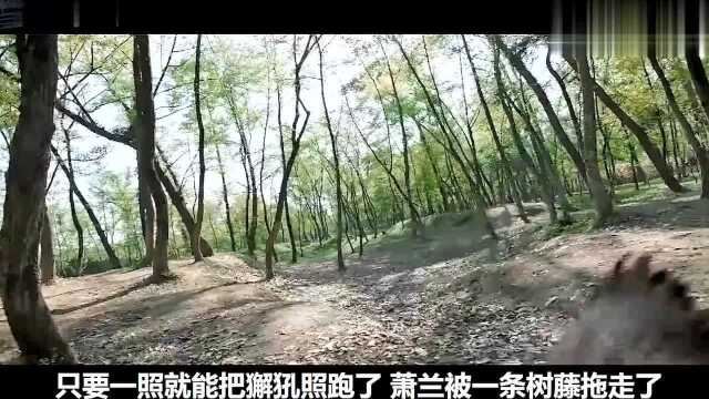 电影:这部《鬼吹灯》番外《东海龙棺》,终于没有让人失望!