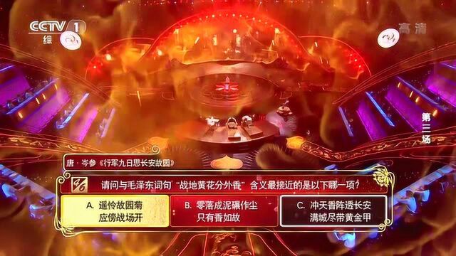 中国诗词大会丨故园菊花战场开长安收复何时来