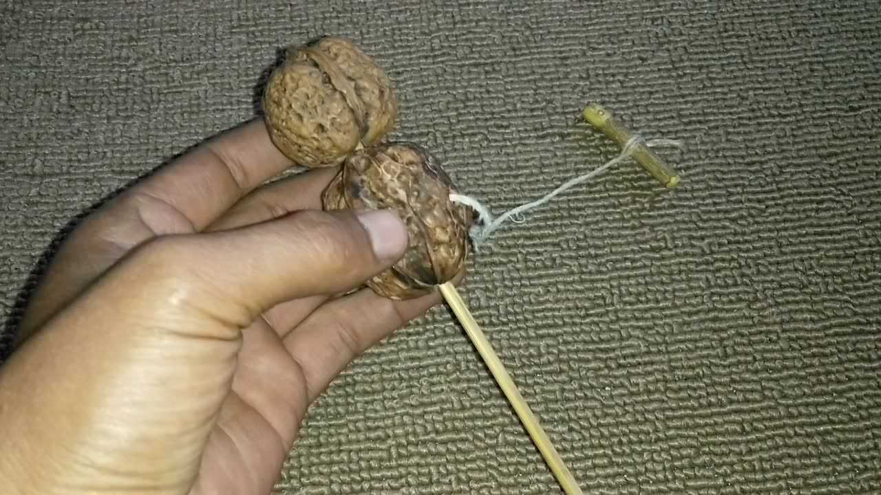 老祖宗们发明的核桃车自制玩具工作原理