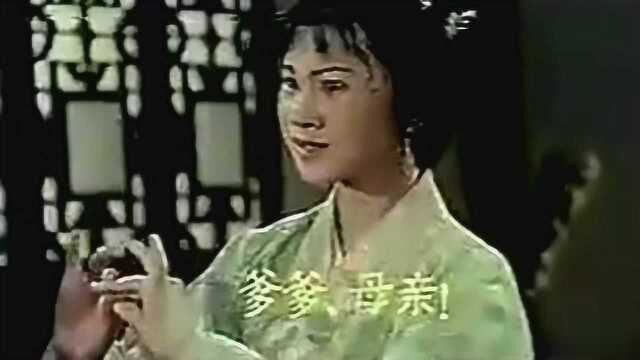 黄梅戏电影《杜鹃女》