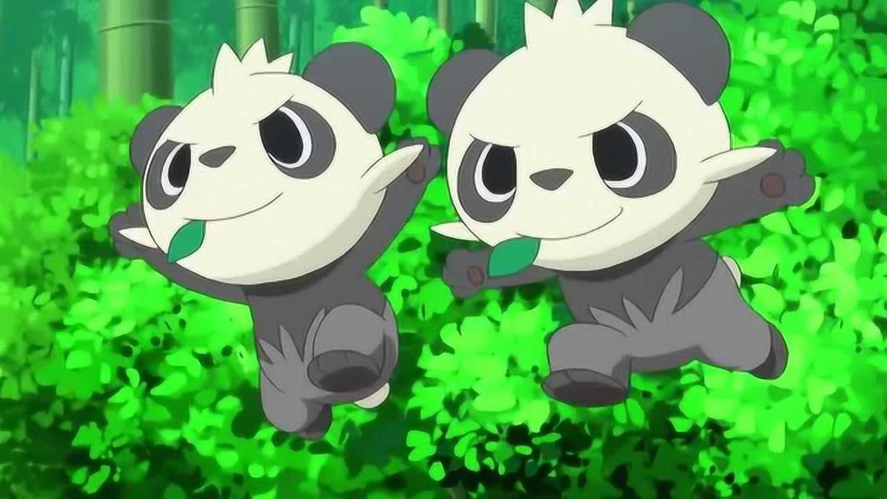 宠物小精灵小次郎称顽皮熊猫为饭桶兄弟要收服它们