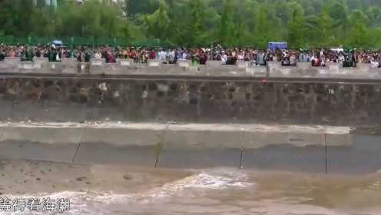 航拍中国：江上的人潮等着钱塘江的海潮，不仅感叹大自然的壮观_腾讯视频